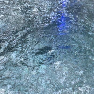 Photo 2024 04 22 19 20 54